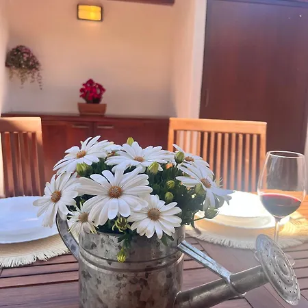 Casa de Férias Arianna *
